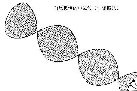 荧光偏振原理