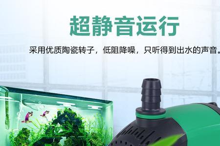 鱼缸水泵干烧后果