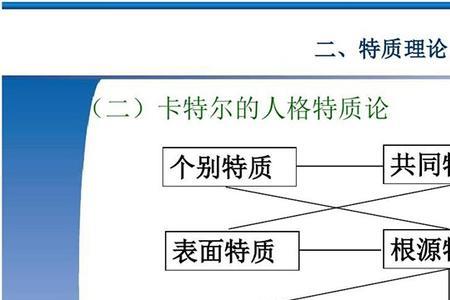 理论特征是什么意思