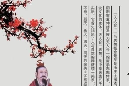 王者荣耀庄子无为避世名句排序