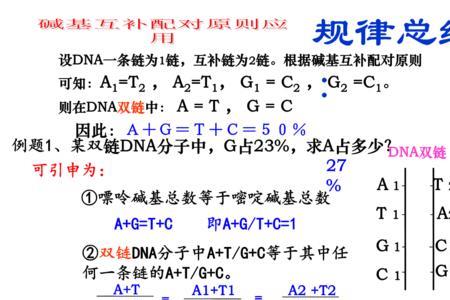 agctu五种碱基如何配对