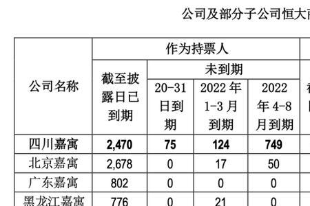 剩余敞口金额什么意思