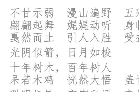 棕成语四个字