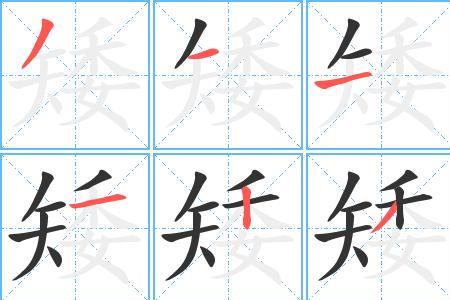 题字旁的字有哪些字