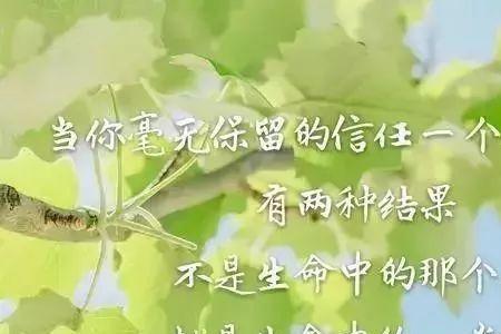 为爱心累的诗句