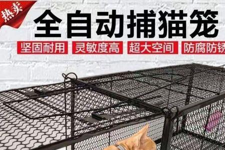 捕猫笼怎么开