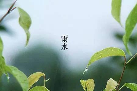 好雨知时节什么季节