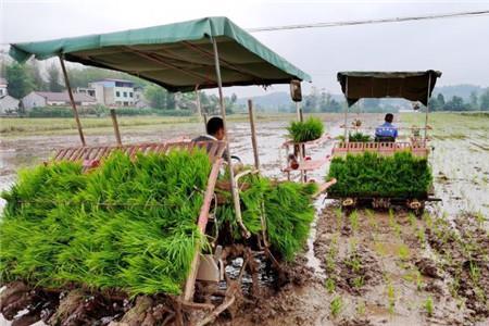 久旱逢甘雨猜三个数字