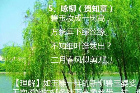 咏柳前两句把柳条比作什么