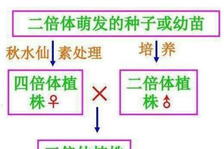 单倍体育种与多倍体育种的区别