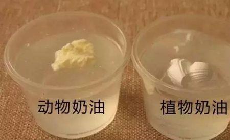 动物奶油为什么热量低