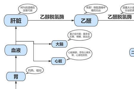 乙醇如何分解成水