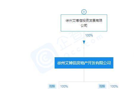 公司100%控股另一家公司的优缺点