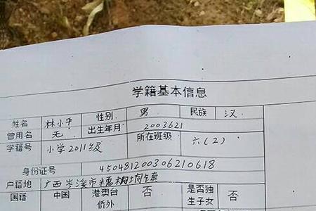 陕师大附属小学是长安区学籍吗