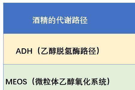 酒精挥发的速度