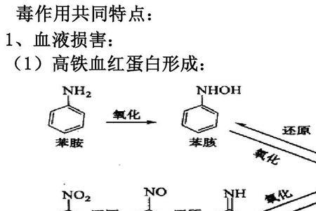 氨基被氧化成硝基原理是