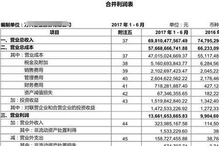 合并利润是什么意思