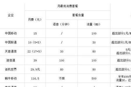 虚拟网月费是什么