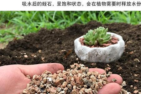 蛭石和珍珠岩养花用多大规格的