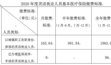 医保计入统筹费用什么意思