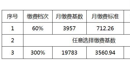 社保基数调整方案