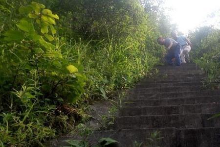 青翘冷藏湿度多少