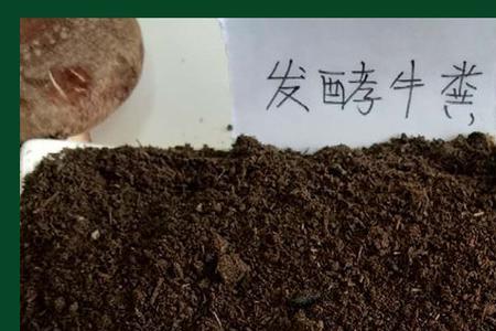 用牛粪加玉米芯生产有机肥