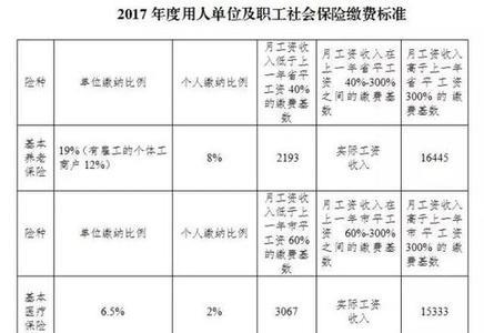 社保延长缴费与按年补缴的区别