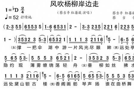 柳叶满天飞是什么歌