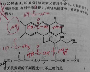 一个碳一个氧四个氢组成什么