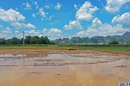 基本农田能做旱改水吗