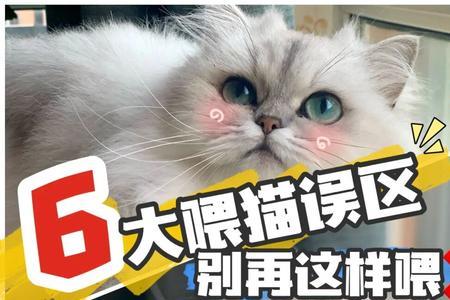 达喜可以喂猫吗