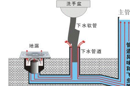 一楼厕所反味怎么办