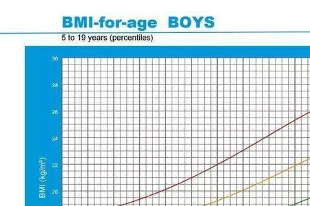 bmi26.5是什么水平