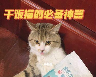 猫粮太干怎么办