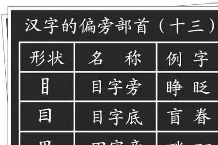 部首一样的字统称叫什么