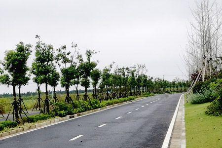 高速公路绿化工程利润有多大