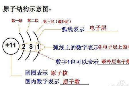 为什么不同原子的质子质量不同