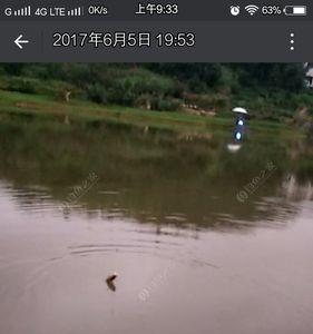 在湘江用什么鱼饵好