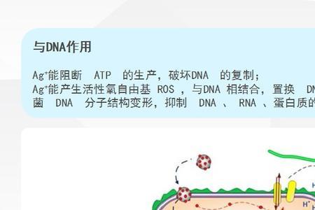 电解水除菌和银离子除菌哪个好