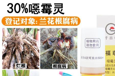 精甲噁霉灵能用于兰花吗