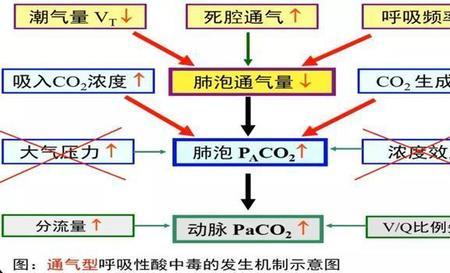 碳酸的形成