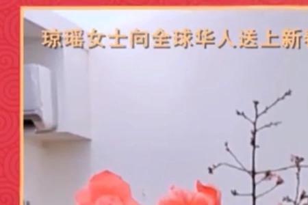 说名字很琼瑶是什么意思