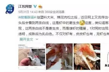 河里捞的小虾米会不会有寄生虫