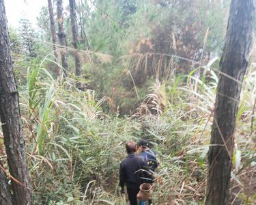 跋山涉水和拔山涉水的意思