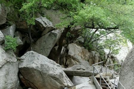 天池山南宁上山难走吗