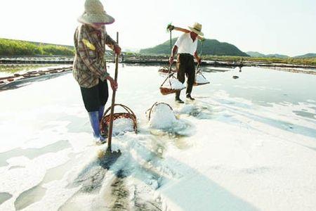 几斤海水能出一斤盐