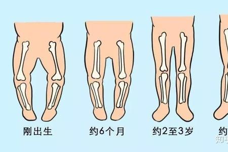 一岁宝宝腿和身子比例