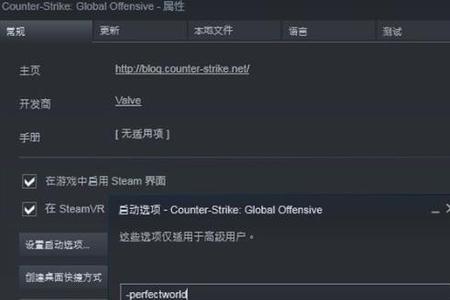 csgo国际服打不开控制器