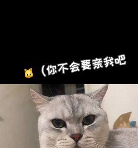 叫男朋友小懒猪好吗